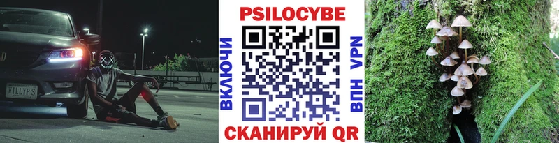 Галлюциногенные грибы Psilocybine cubensis Могоча